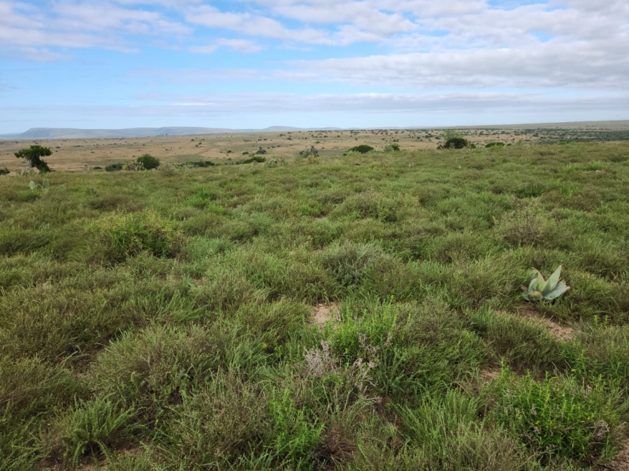 Commercial Property for Sale in Somerset East Rural Eastern Cape